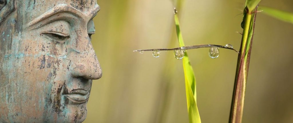 Corso Mindfulness MBSR