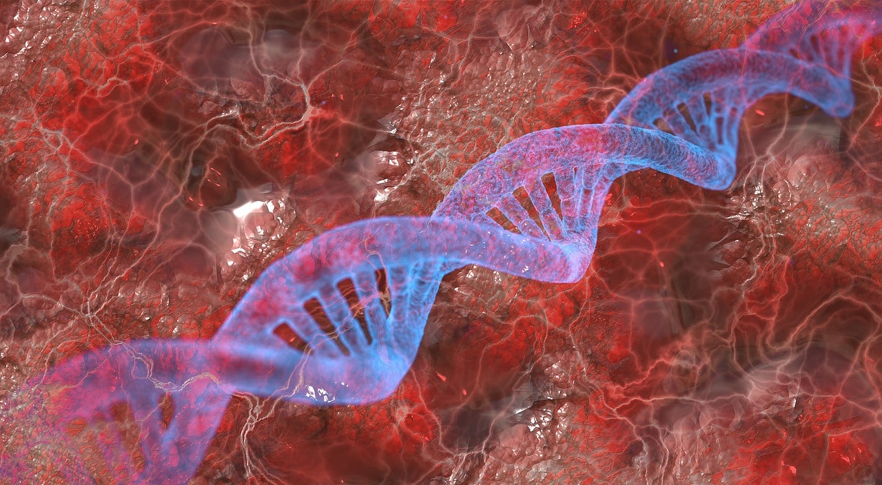 la telomerasi l'enzima dell'immortalità